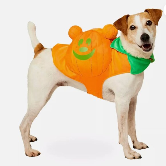 Disney Parks Mickey jack o' lantern Pumpkin Glow in The Dark Costume Pets Small - Picture 1 of 5